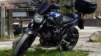 Suzuki SV650 (2021 - 24) usata