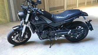 Benelli Leoncino 500 (2021 - 25)