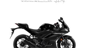Yamaha YZF R3 (2021 - 24) 