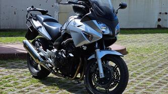 Honda CBF 600 (2004 - 06) usata