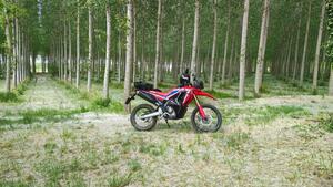 Honda CRF 300 Rally (2021 - 24) 