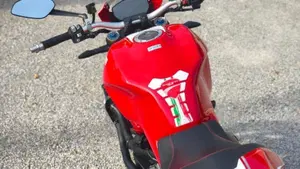 Ducati Monster 1200 S (2017 - 21)  (4)