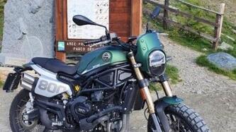 Benelli Leoncino 800 Trail (2022 - 25)