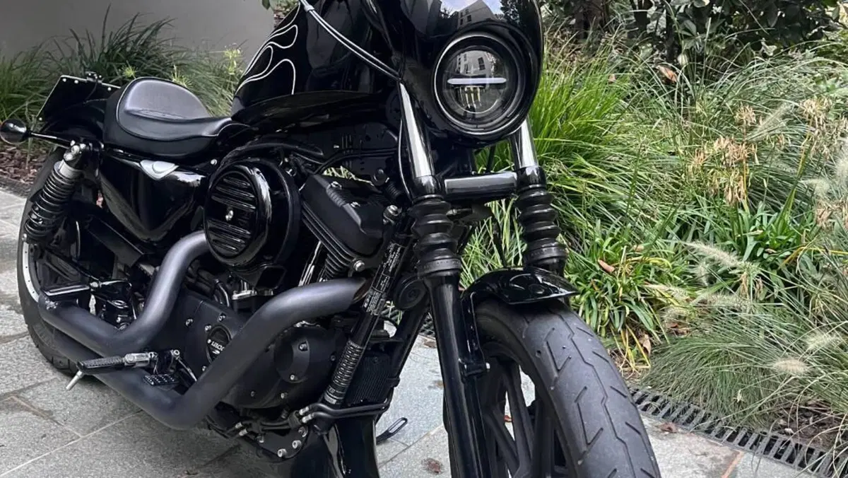 Harley-Davidson 1200 Iron (2018 - 20) - XL1200N  (2)