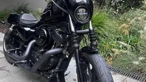 Harley-Davidson 1200 Iron (2018 - 20) - XL1200N  (2)