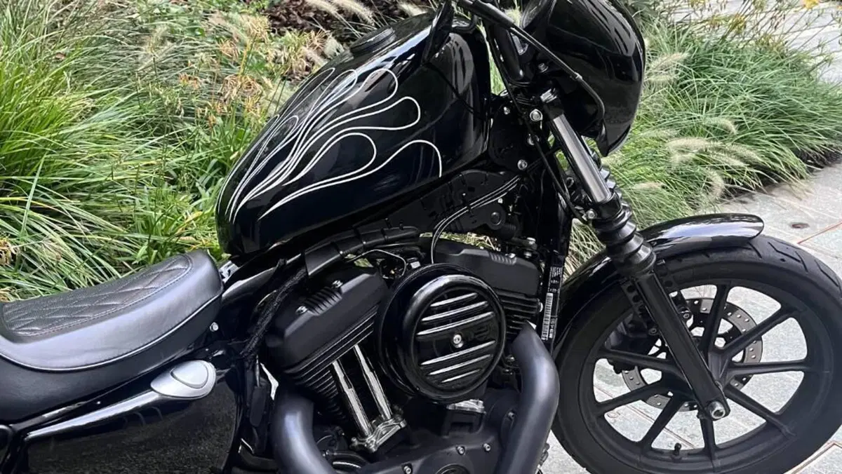 Harley-Davidson 1200 Iron (2018 - 20) - XL1200N  (3)
