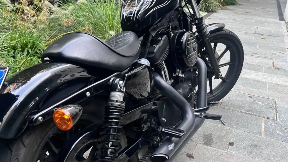 Harley-Davidson 1200 Iron (2018 - 20) - XL1200N  (5)