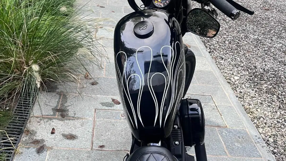 Harley-Davidson 1200 Iron (2018 - 20) - XL1200N  (6)