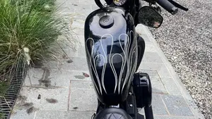 Harley-Davidson 1200 Iron (2018 - 20) - XL1200N  (6)