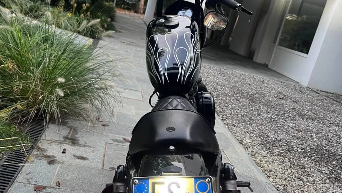 Harley-Davidson 1200 Iron (2018 - 20) - XL1200N  (7)