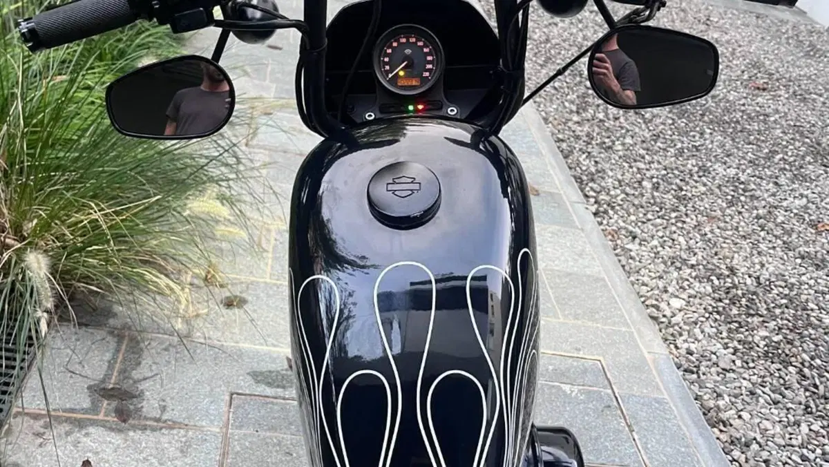 Harley-Davidson 1200 Iron (2018 - 20) - XL1200N  (9)