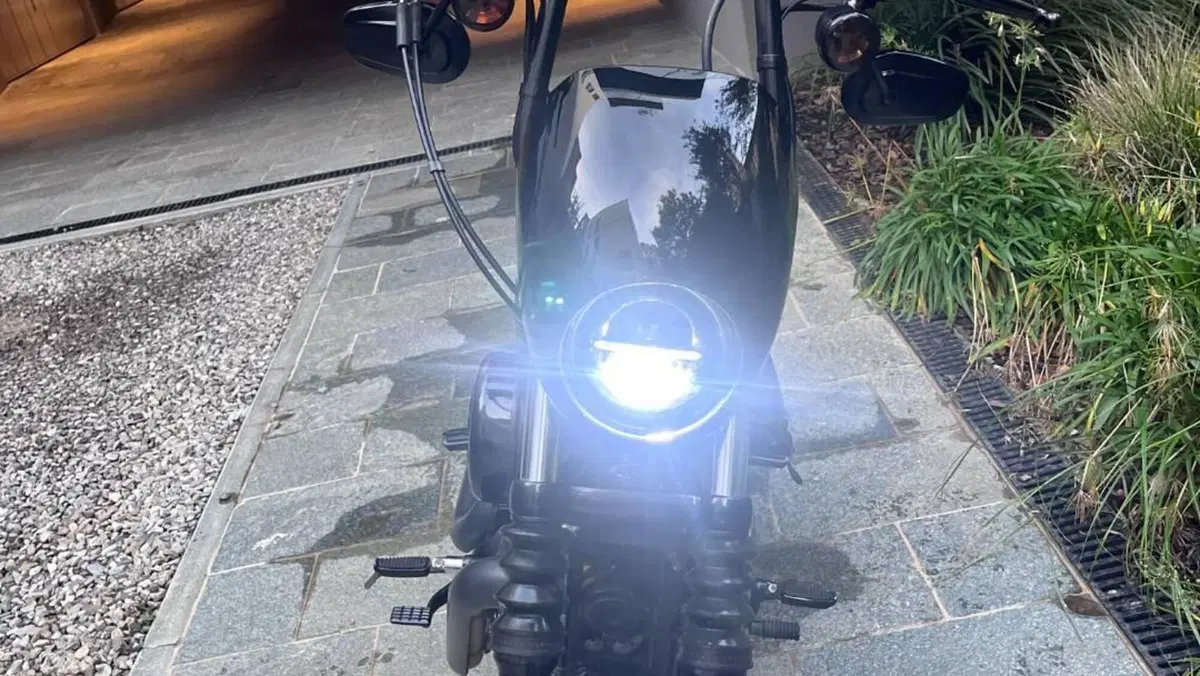 Harley-Davidson 1200 Iron (2018 - 20) - XL1200N  (10)