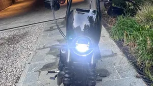 Harley-Davidson 1200 Iron (2018 - 20) - XL1200N  (10)