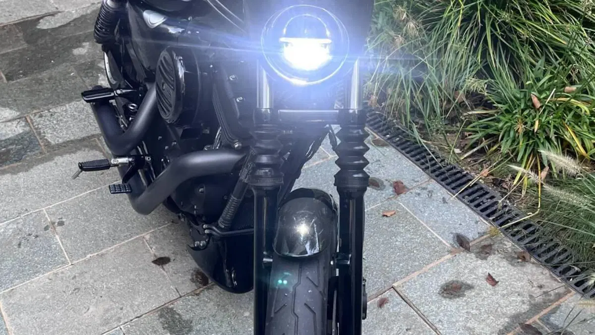 Harley-Davidson 1200 Iron (2018 - 20) - XL1200N  (11)