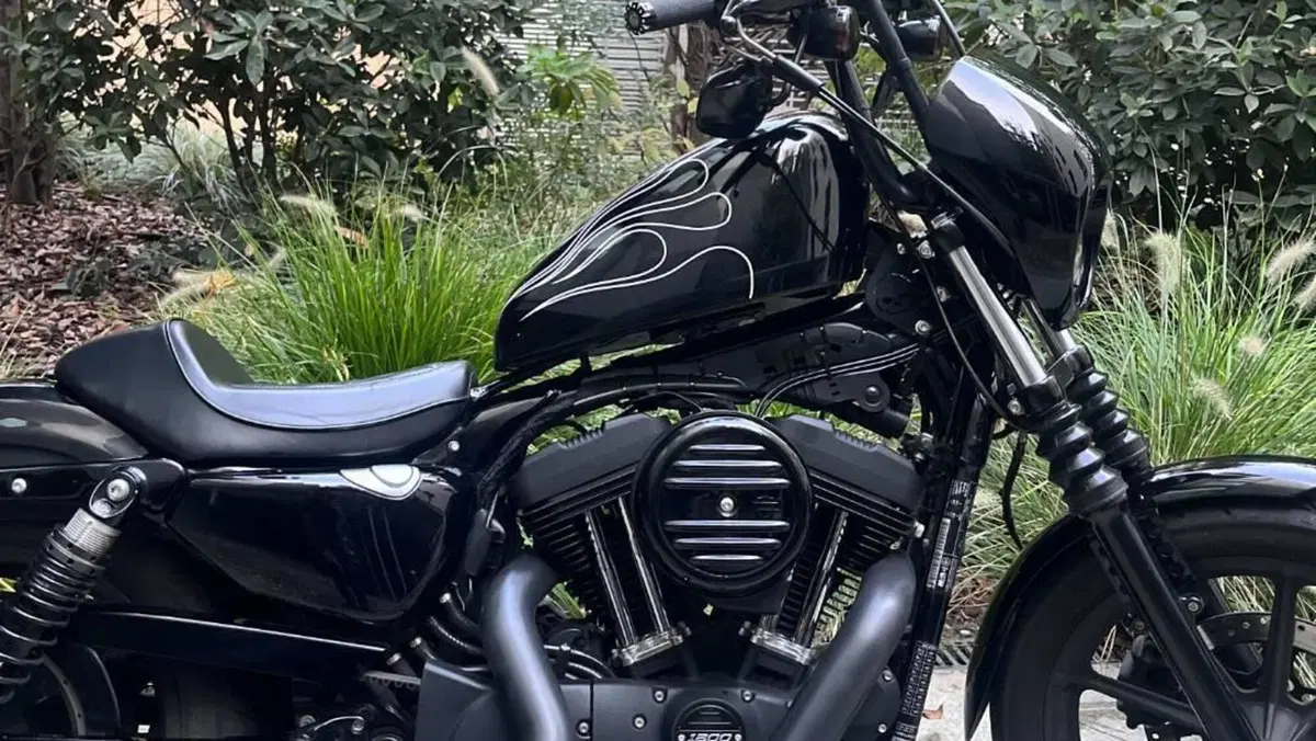 Harley-Davidson 1200 Iron (2018 - 20) - XL1200N  (12)