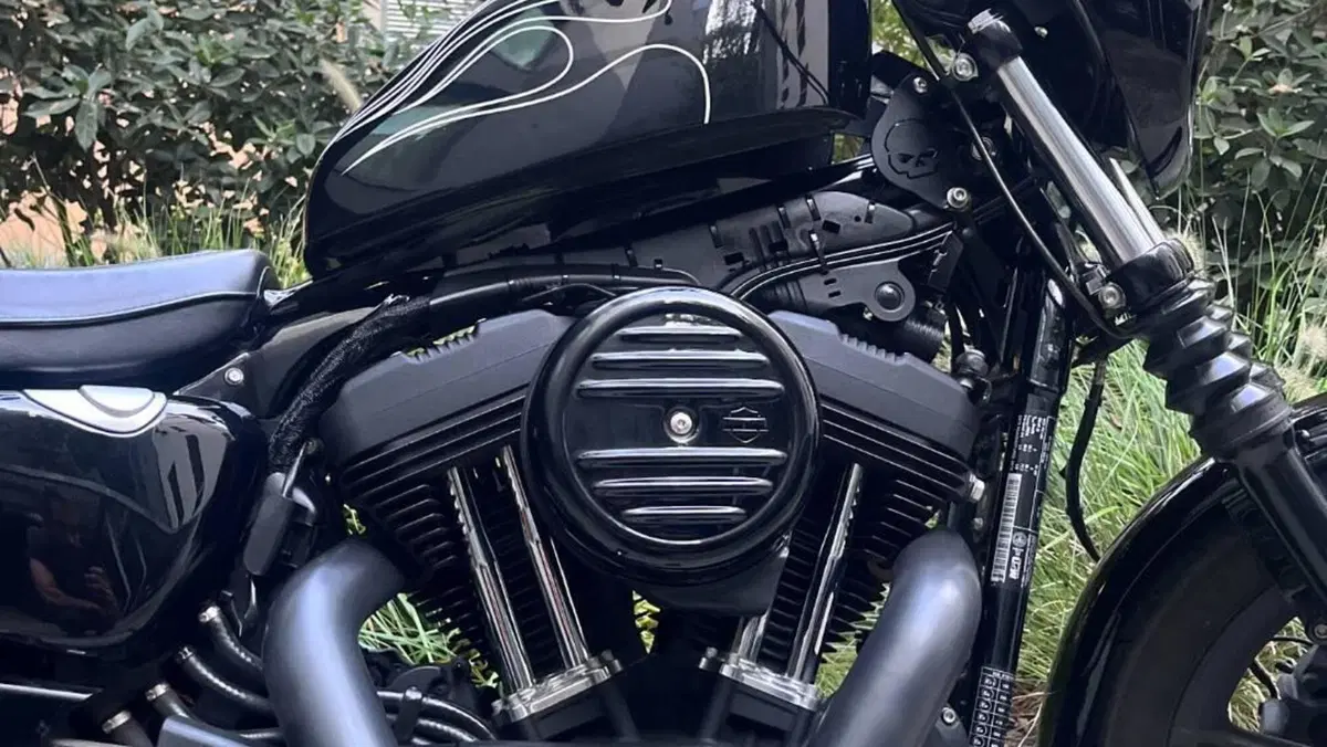 Harley-Davidson 1200 Iron (2018 - 20) - XL1200N  (13)