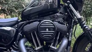 Harley-Davidson 1200 Iron (2018 - 20) - XL1200N  (13)
