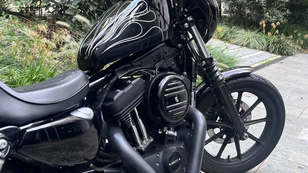 Harley-Davidson 1200 Iron (2018 - 20) - XL1200N  (14)