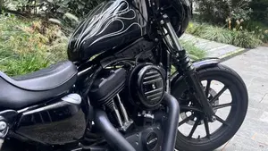 Harley-Davidson 1200 Iron (2018 - 20) - XL1200N  (14)