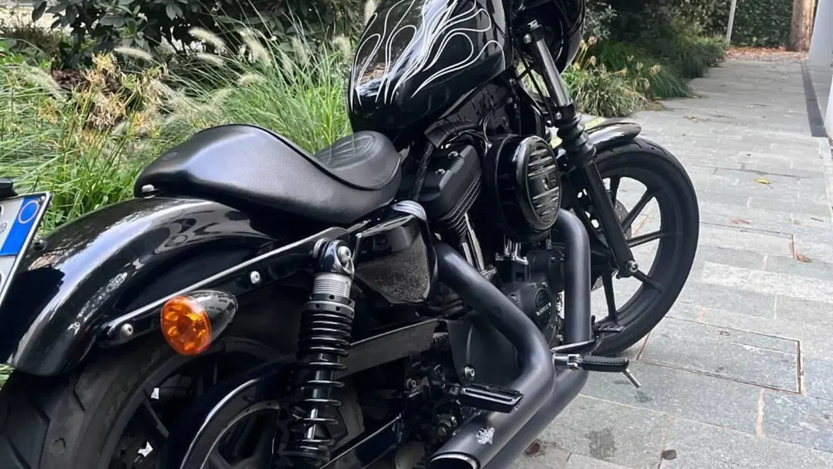 Harley-Davidson 1200 Iron (2018 - 20) - XL1200N  (15)
