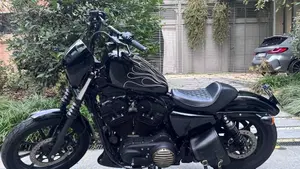 Harley-Davidson 1200 Iron (2018 - 20) - XL1200N  (16)