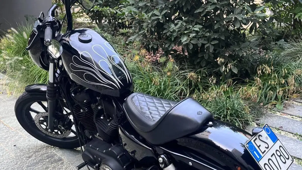Harley-Davidson 1200 Iron (2018 - 20) - XL1200N  (17)