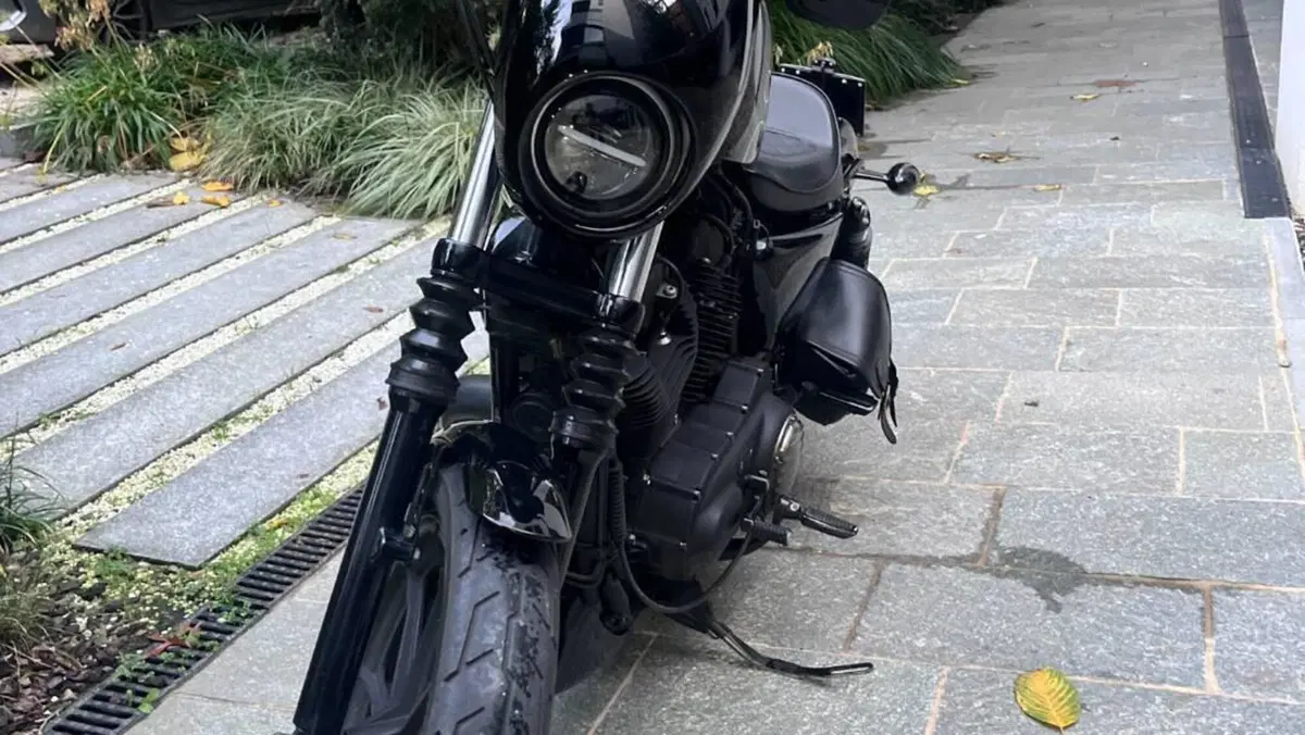 Harley-Davidson 1200 Iron (2018 - 20) - XL1200N  (18)