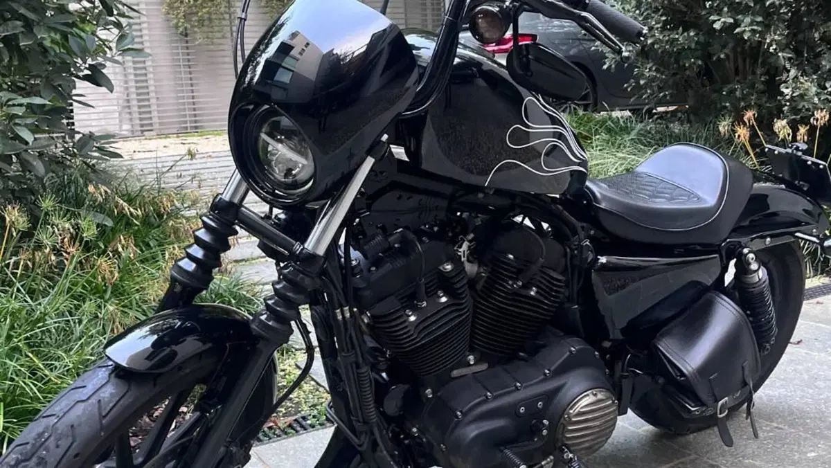 Harley-Davidson 1200 Iron (2018 - 20) - XL1200N  (19)