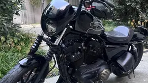 Harley-Davidson 1200 Iron (2018 - 20) - XL1200N  (19)