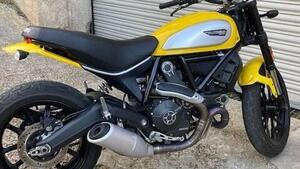 Ducati Scrambler 800 Icon (2017 - 20) 