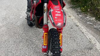 GASGAS EC 350 F (2021) usata