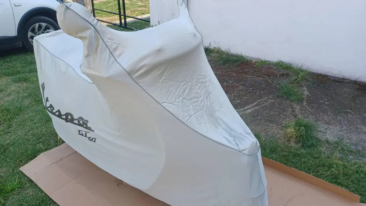Piaggio   (2)