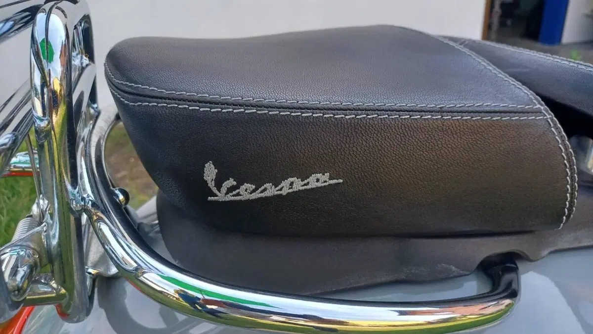 Piaggio   (10)