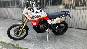 Yamaha Ténéré 700 (2019 - 20) 