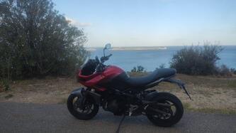 Triumph Tiger Sport 660 (2022 - 24) usata