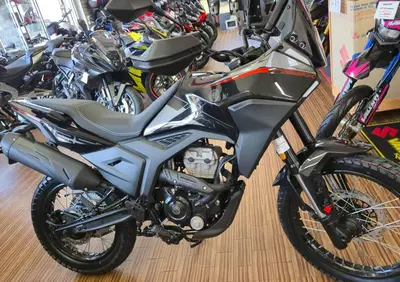 Morbidelli T125X (2025 - 26) - Annuncio 9643076