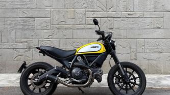 Ducati Scrambler 800 Icon (2015 - 16) usata