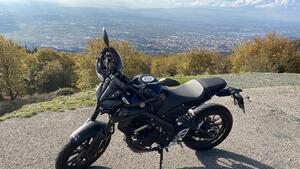 Yamaha MT-125 (2021 - 24) 