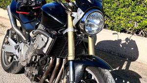 Honda Hornet 600 (2005 - 06) 