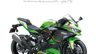 Kawasaki Ninja ZX-4RR (2024 - 25) nuova