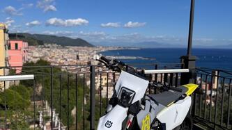 Husqvarna FS 450 (2023) usata
