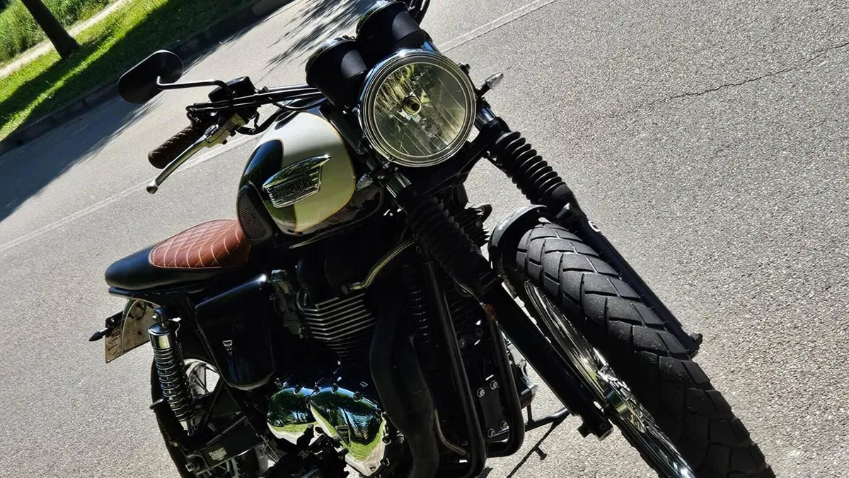 Triumph Bonneville T100 (2008 - 16)  (2)