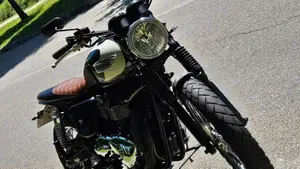 Triumph Bonneville T100 (2008 - 16)  (2)