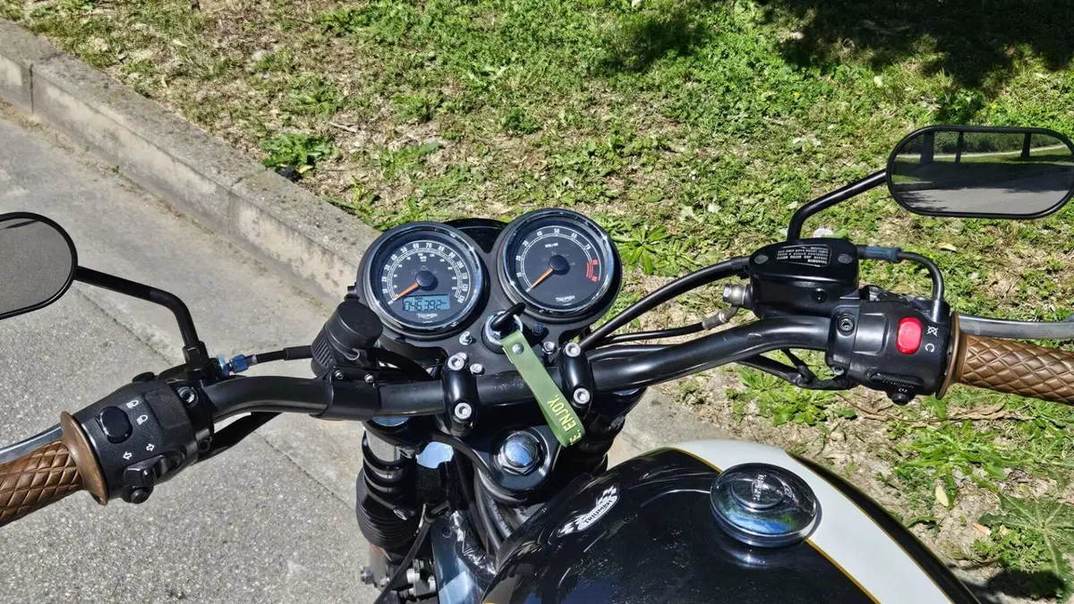 Triumph Bonneville T100 (2008 - 16)  (3)