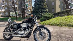 Harley-Davidson 883 Standard (2001 - 05) - XL 883 