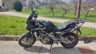 Aprilia Shiver 750 GT (2009 - 11) usata