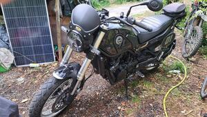 Benelli Leoncino 500 Trail (2021 - 25) 