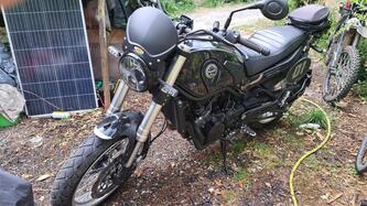 Benelli Leoncino 500 Trail (2021 - 25) usata