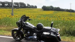 Harley-Davidson 1690 Street Glide Special (2014 - 16) - FLHX  (9)