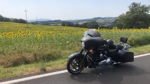 Harley-Davidson 1690 Street Glide Special (2014 - 16) - FLHX  (10)